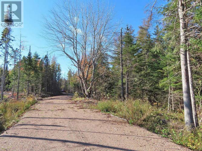 Lot 8 #4 Highway (Lower River Road) Road