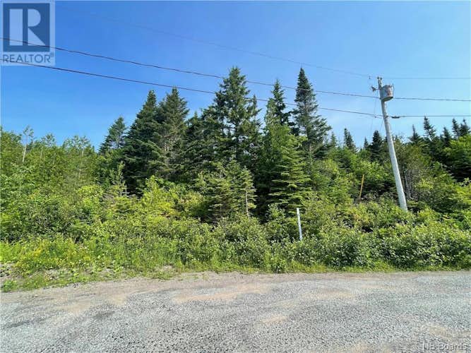 LOT 7 Forest Side Avenue