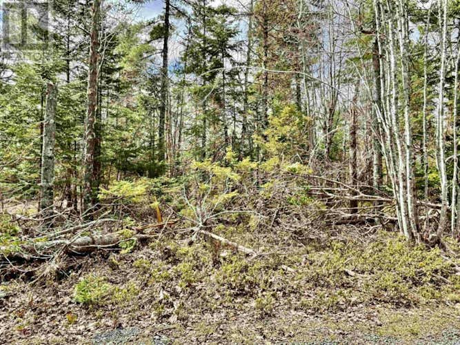 Lot 3 Forest Close, Forest County Ponhook Lake Area