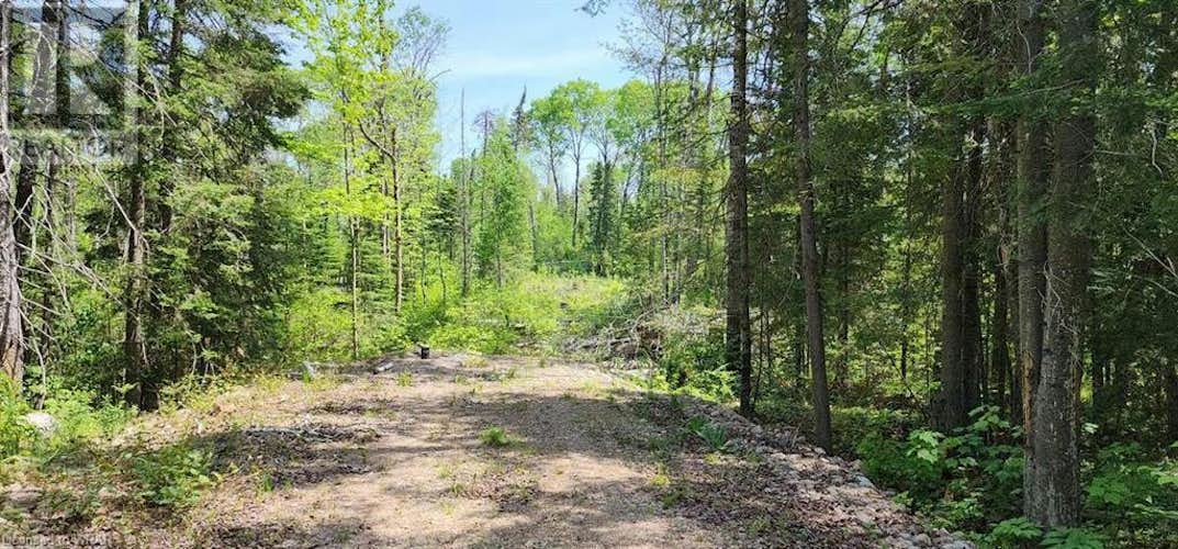 LOT 13 ONE MILE Road