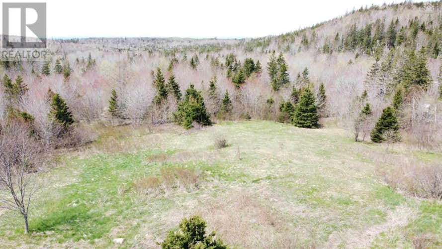 Lot 1 River Denys Mountain Road