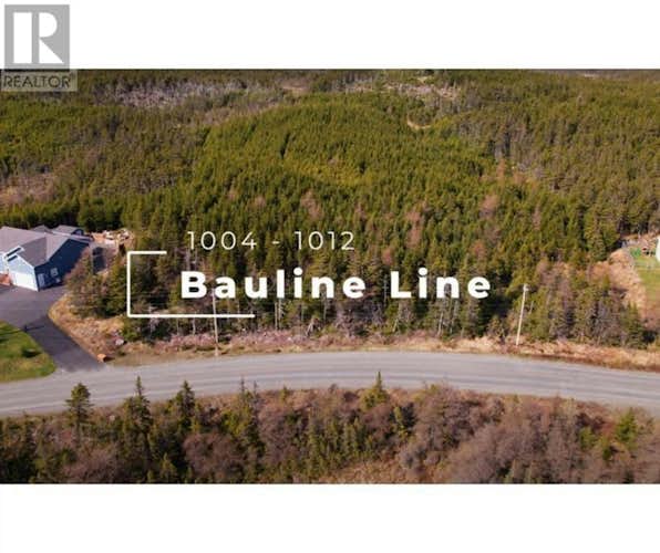 1008-1012 Bauline (PARCEL B) Line